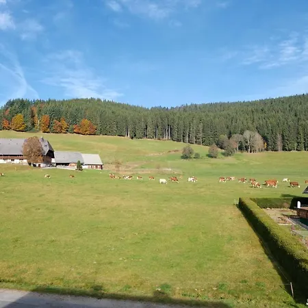 Sonnenmatte Nahe Badeparadies Schwarzwald 2*