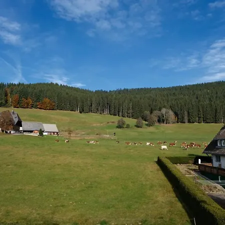 Sonnenmatte Titisee-Neustadt