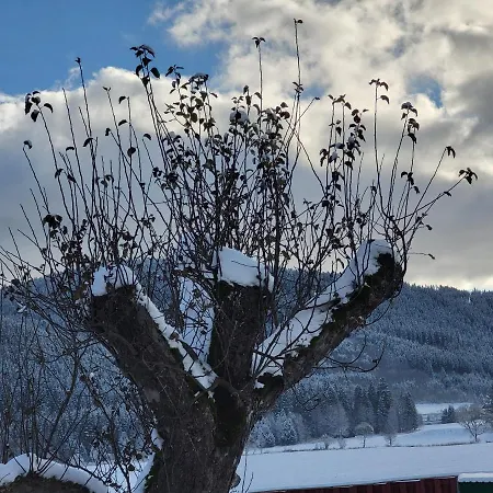Sonnenmatte Titisee-Neustadt