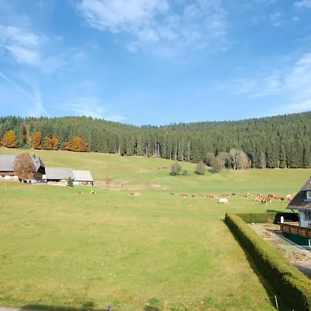 Hotel Sonnenmatte Titisee-Neustadt