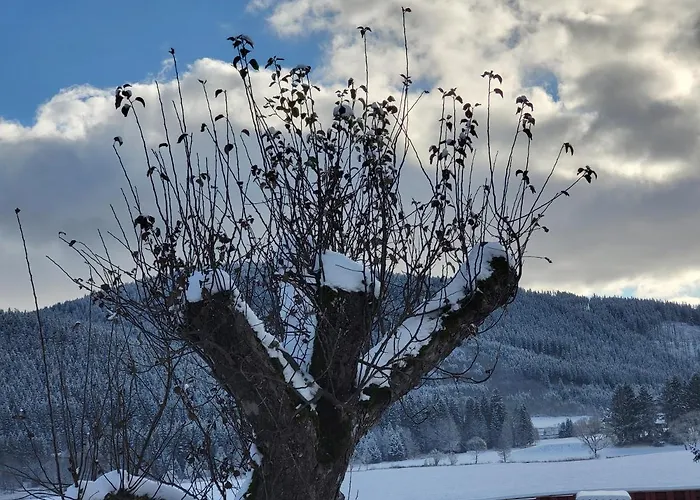 Sonnenmatte Titisee-Neustadt