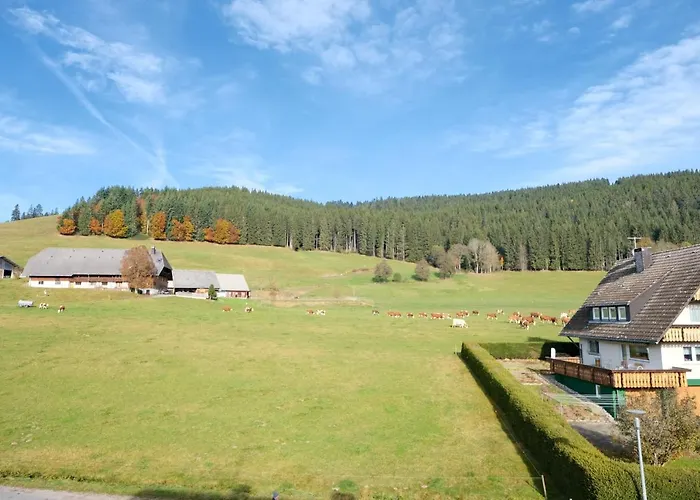 فندق Sonnenmatte تيتيسي نيوستادت